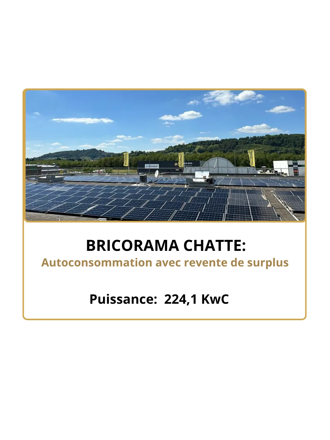 Bricorama Chatte